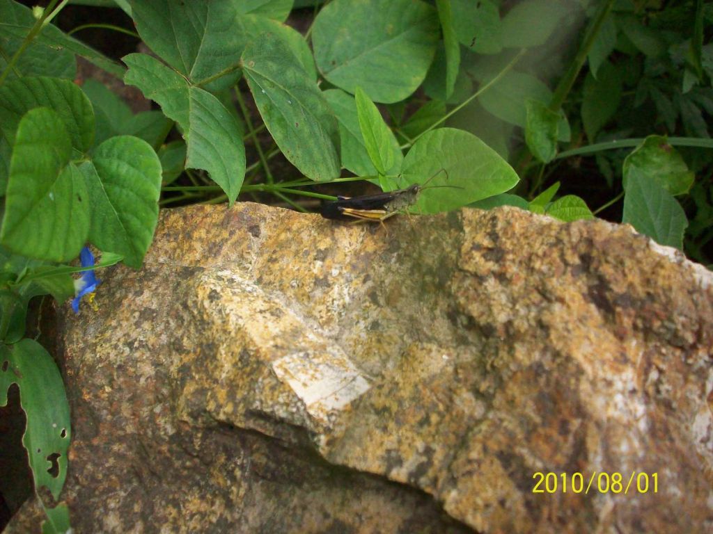 100_5799.JPG