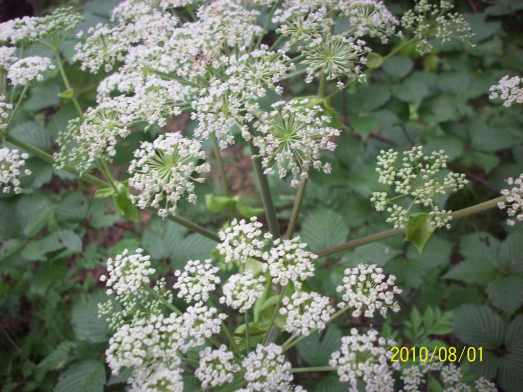 100_5836.JPG