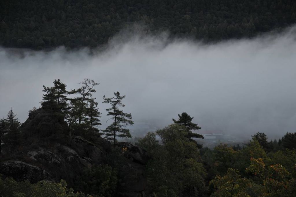 DSC_2390.JPG