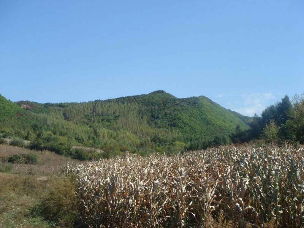 DSC09157.JPG