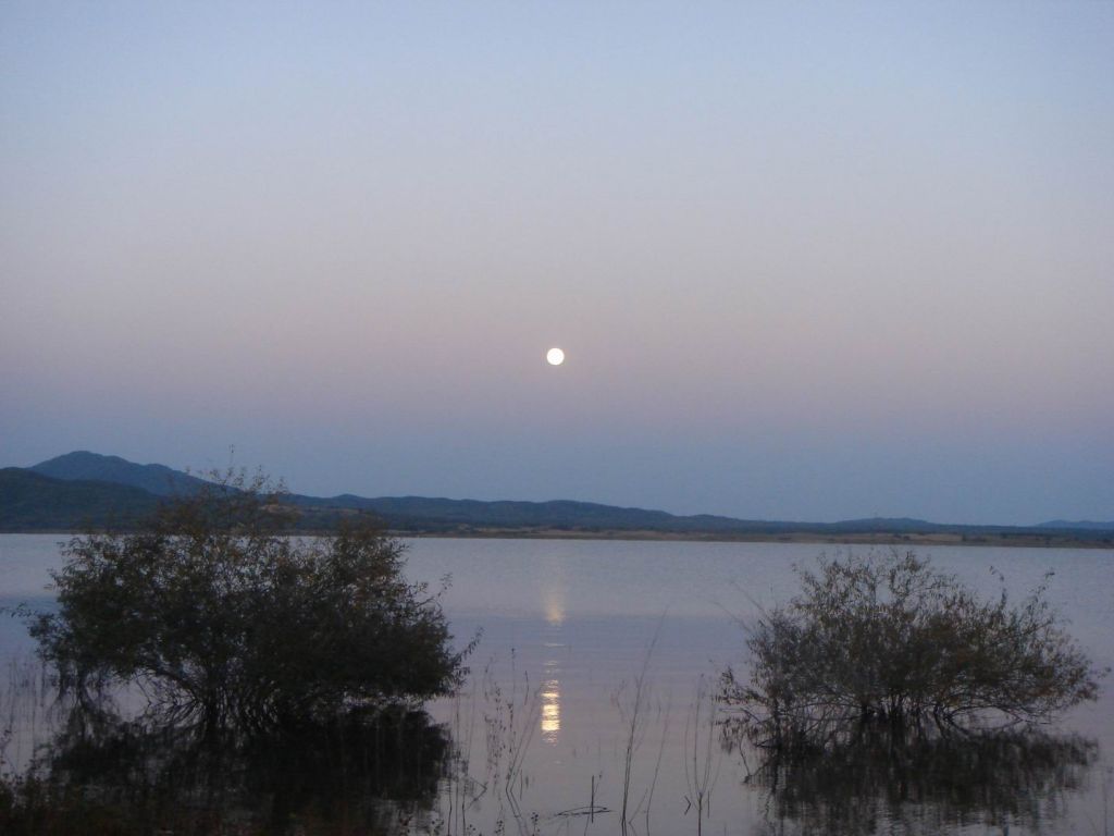 DSC09200.JPG