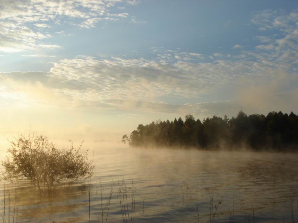 DSC09235.JPG