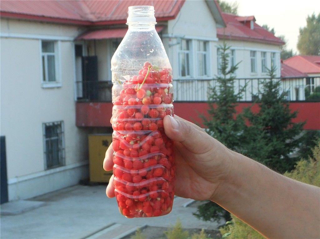 ��Ƭ 168_����.jpg