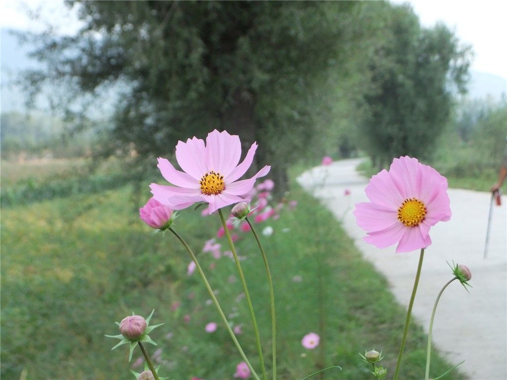 ��Ƭ 112_����.jpg