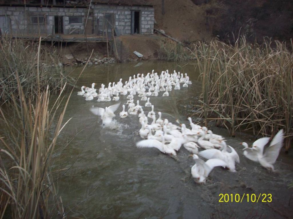 100_8745.JPG