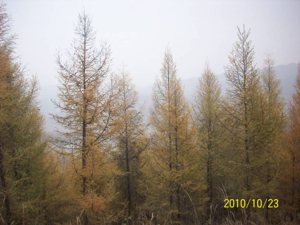 100_8727.JPG