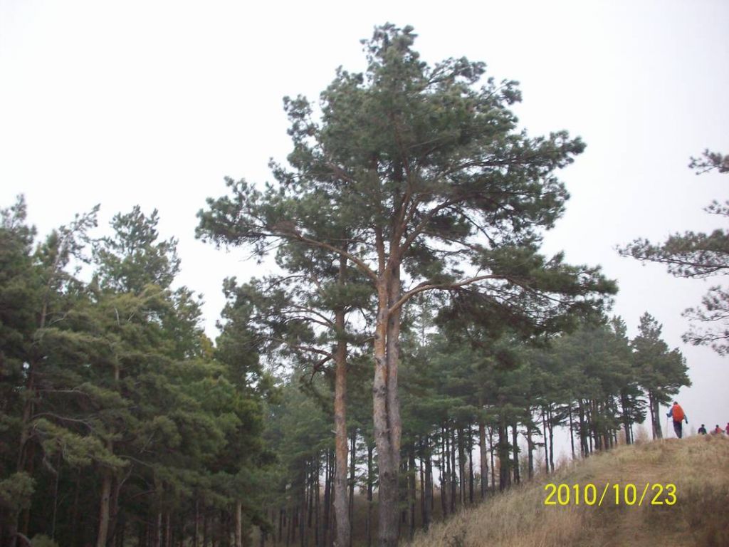 100_8726.JPG