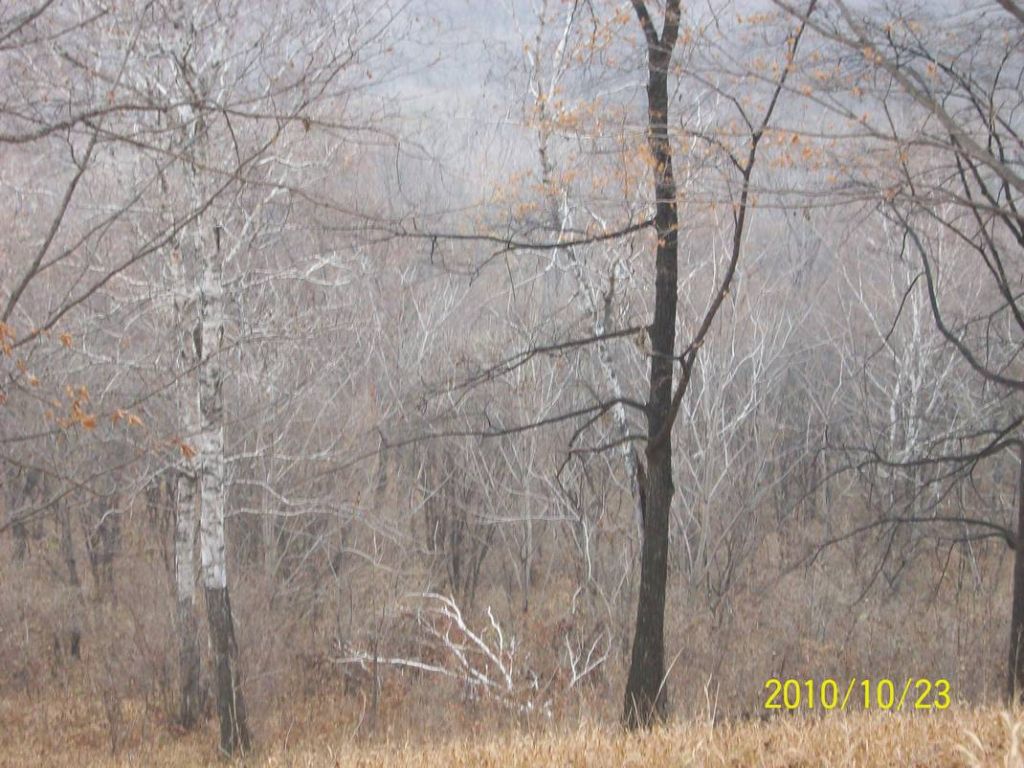 100_8788.JPG