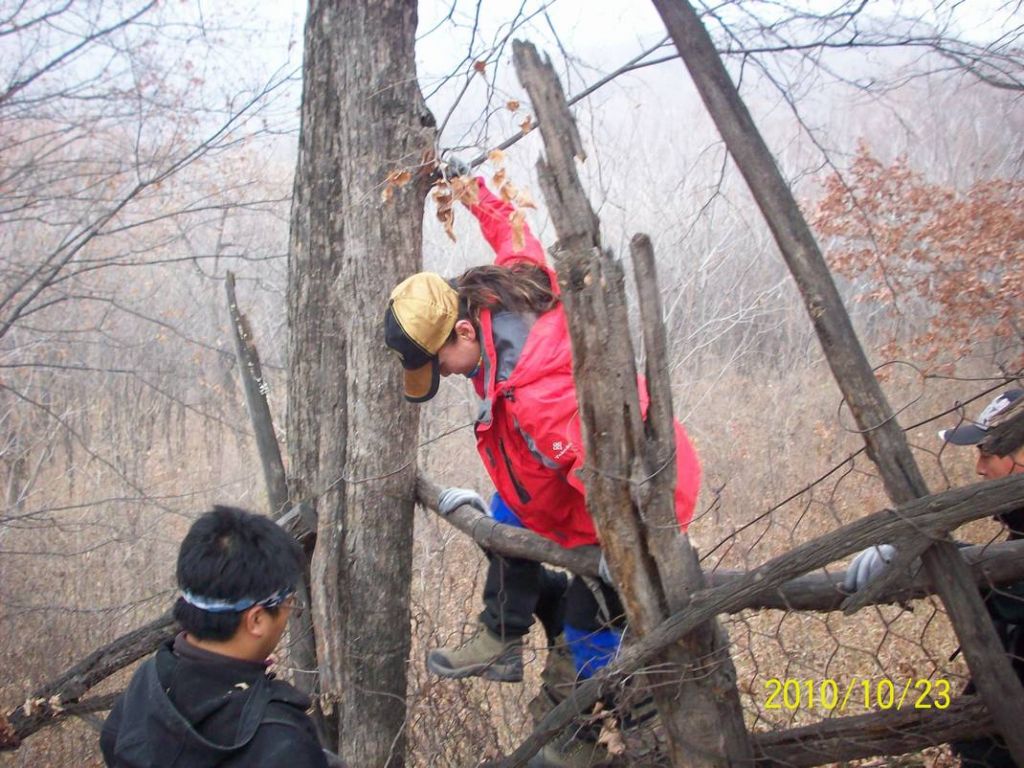 100_8774.JPG
