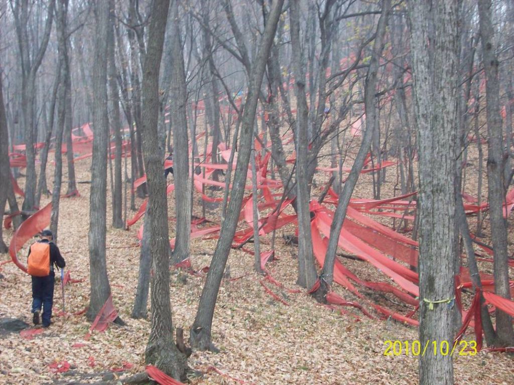 100_8828.JPG