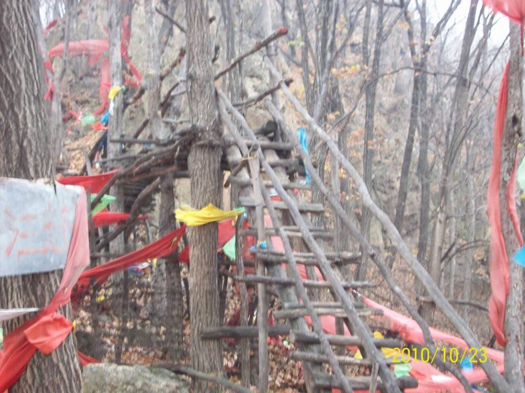 100_8830.JPG