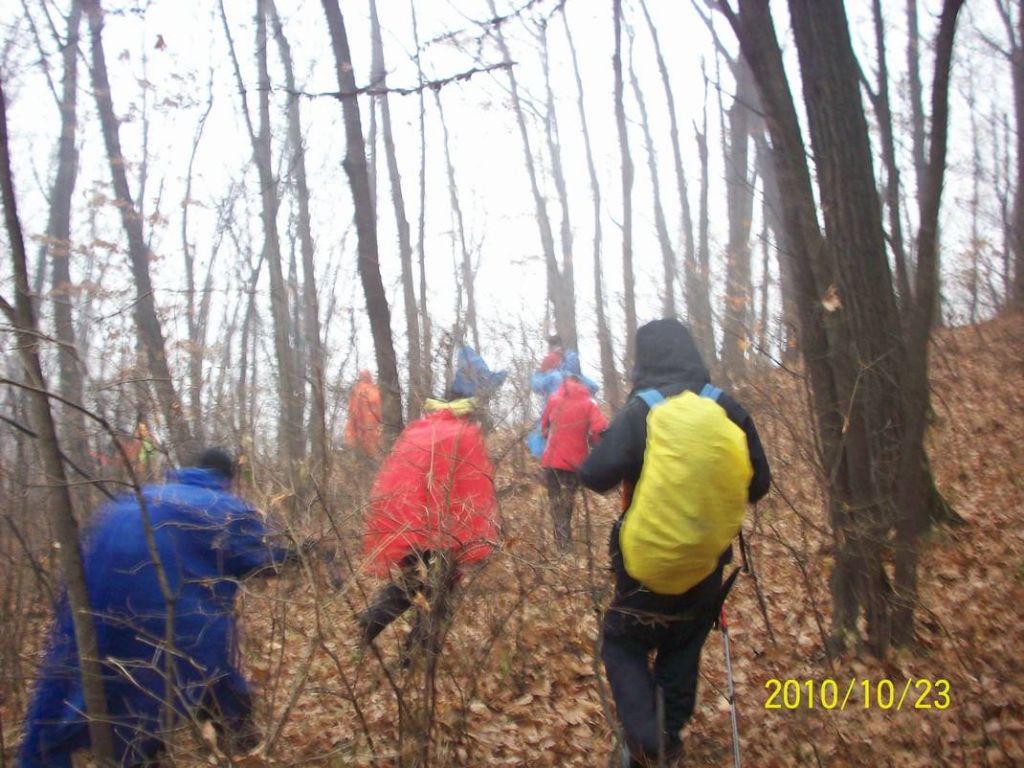 100_8952.JPG