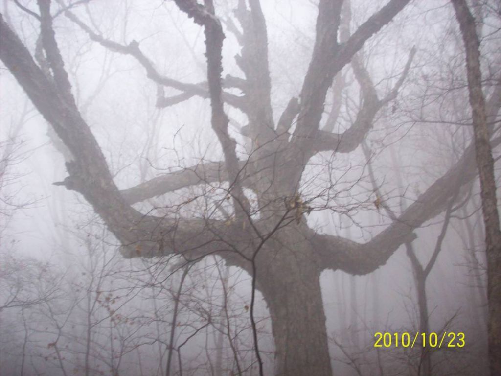 100_8961.JPG