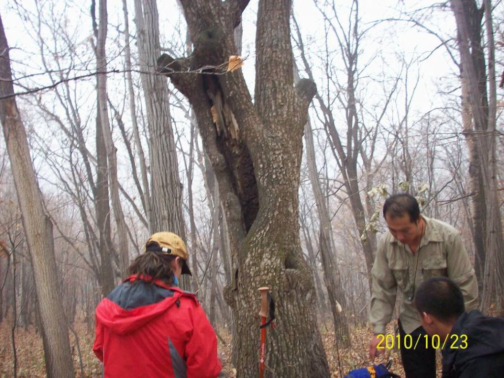 100_8945.JPG