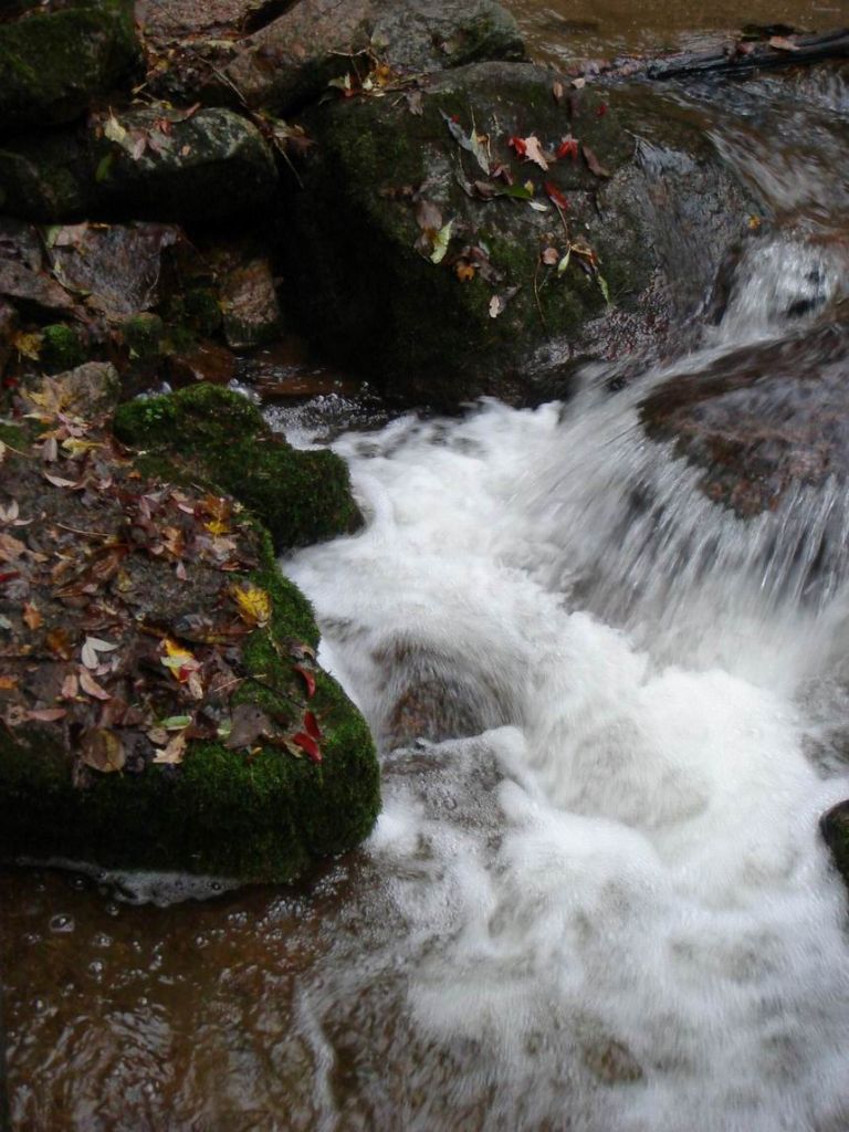 DSC09344.JPG