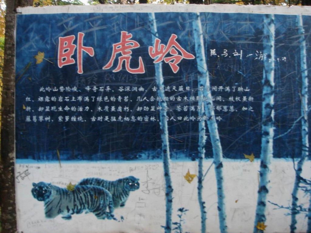 DSC09352.JPG