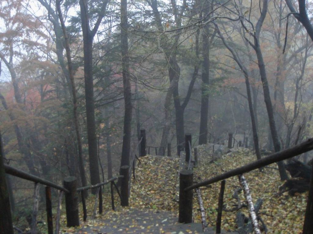 DSC09353.JPG