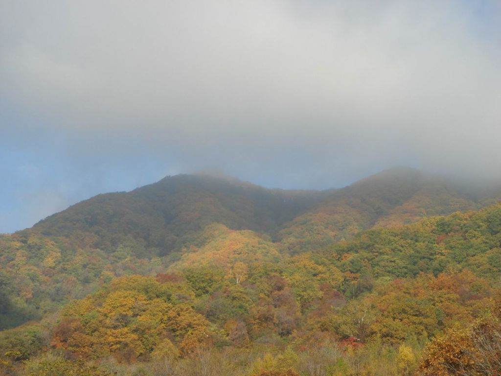 DSC09393.JPG