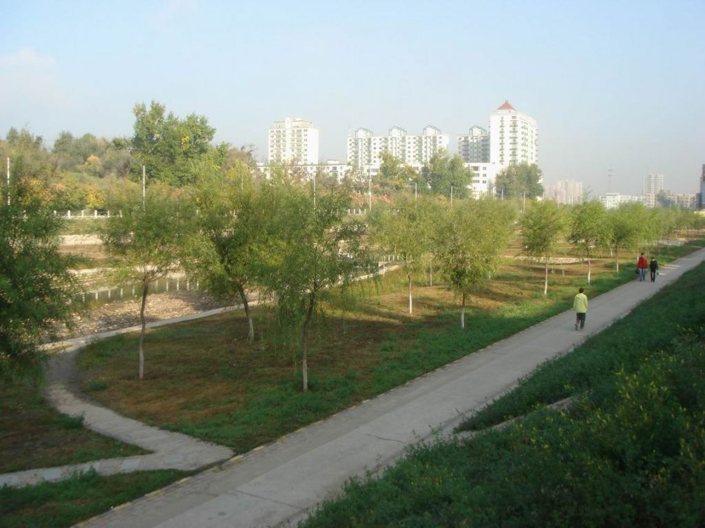 DSC09564.JPG