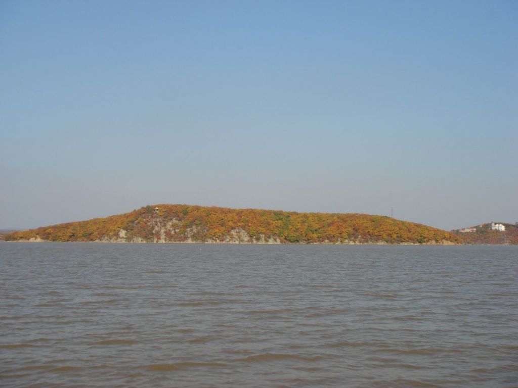 DSC09624.JPG