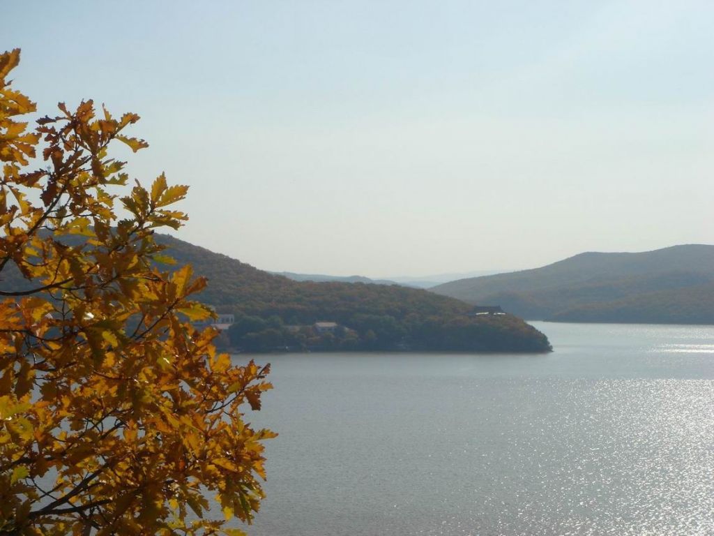 DSC09637.JPG