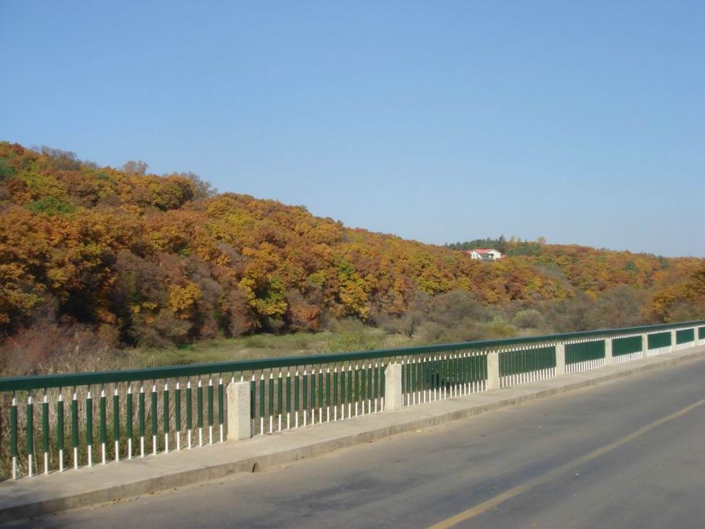 DSC09674.JPG