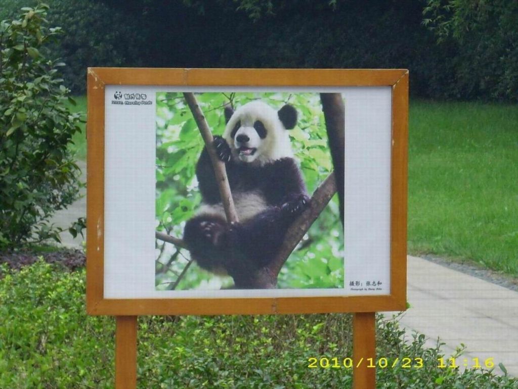 ������С ������С ������С ������С ������С ������С DSCI0069.JPG