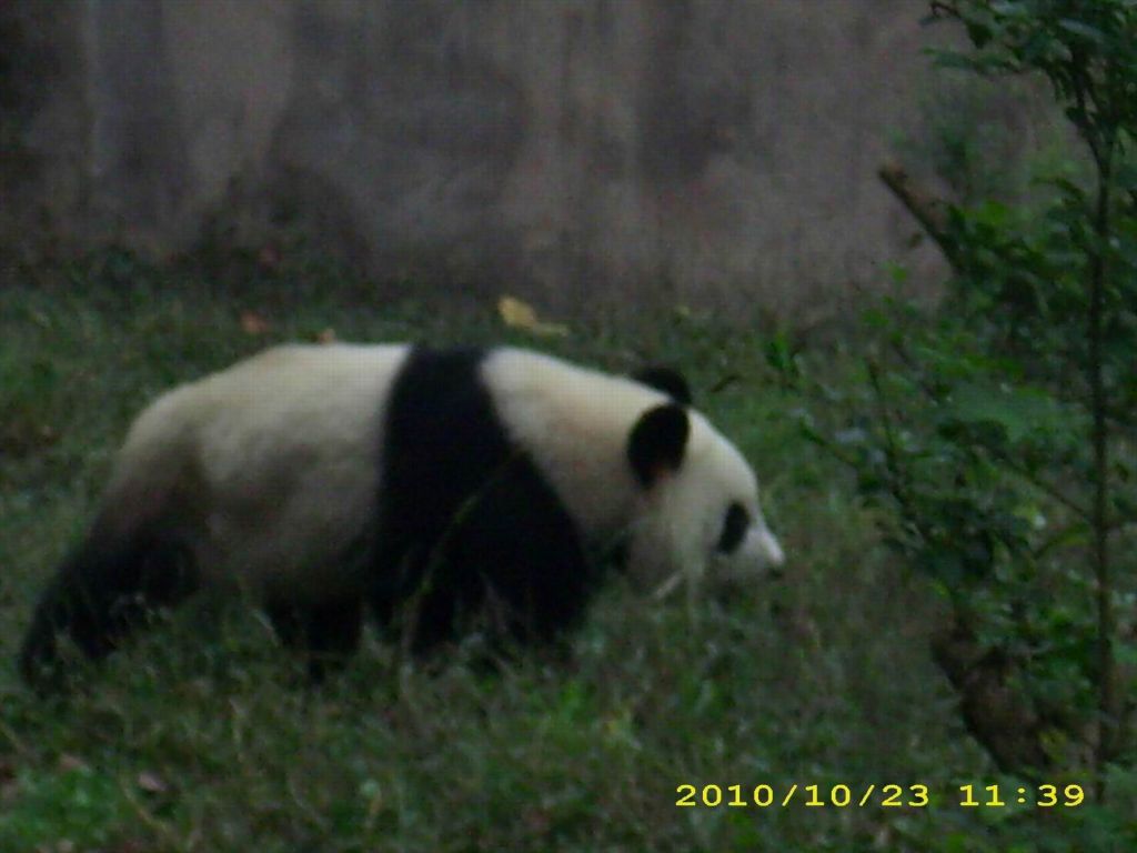 ������С ������С ������С ������С DSCI0084.JPG