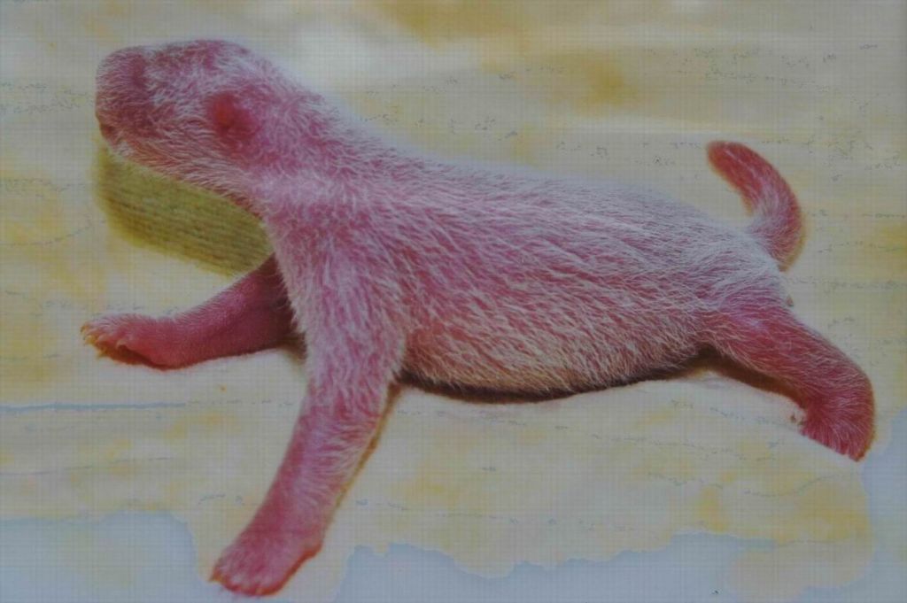 ������С ������С ������С ������С ������С ������С DSC01593.JPG