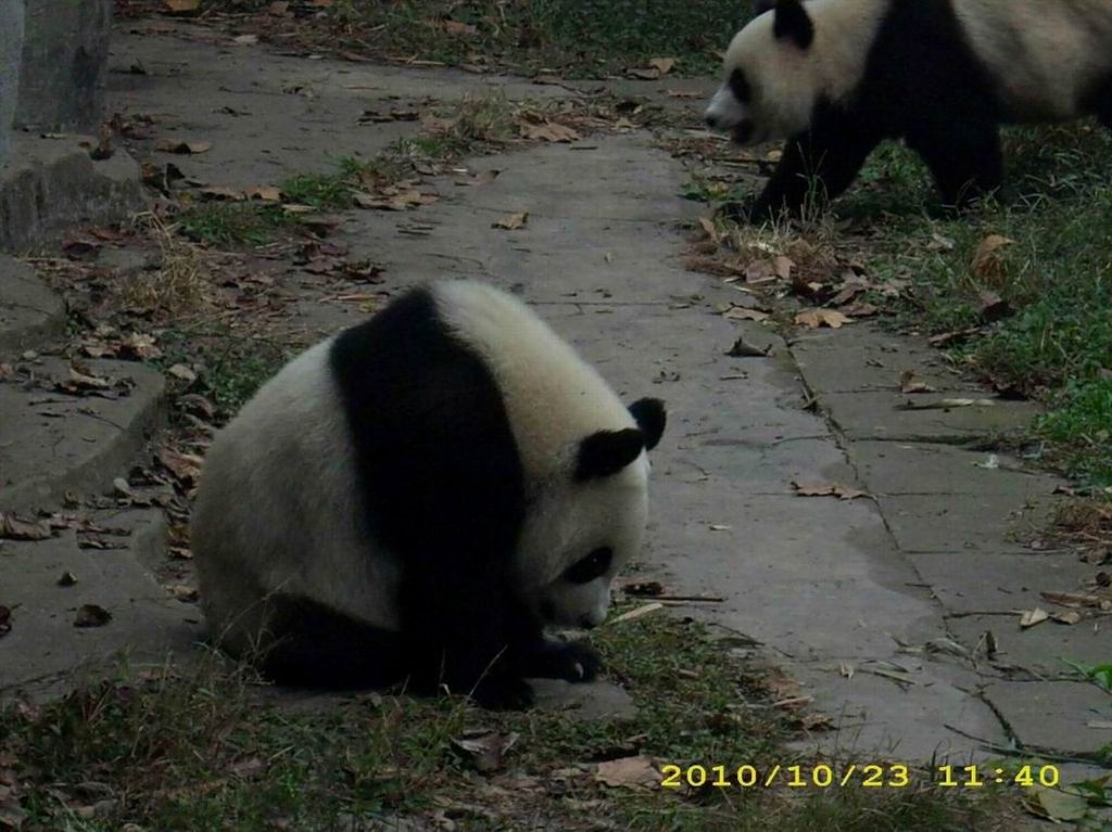 ������С ������С ������С ������С ������С ������С ������С DSCI0085.JPG