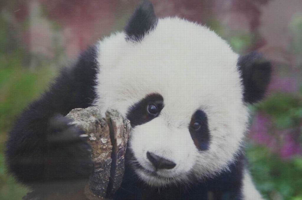 ������С ������С ������С ������С ������С ������С DSC01537.jpg