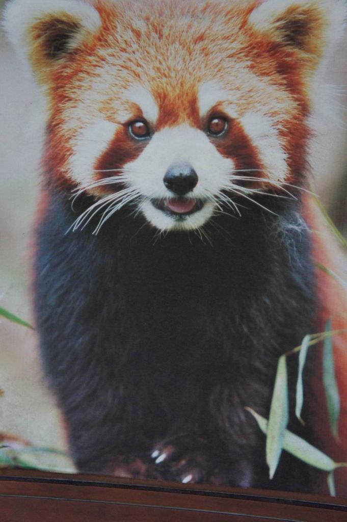 ������С ������С DSC01637.JPG