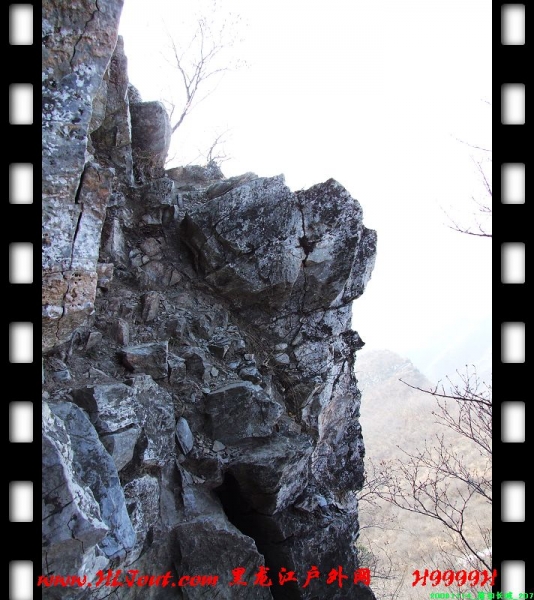 20081114_���۳���_207.jpg