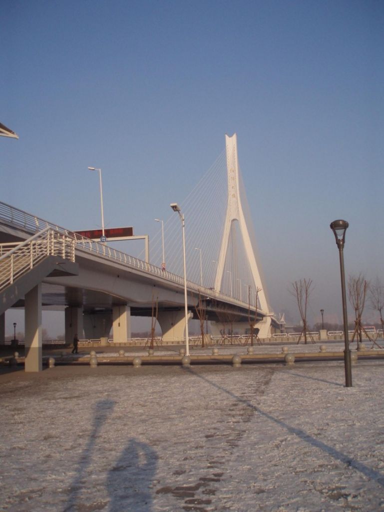 P1010068_conew1.jpg