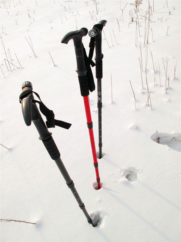 12��4�Ŵ��㿪ʼ