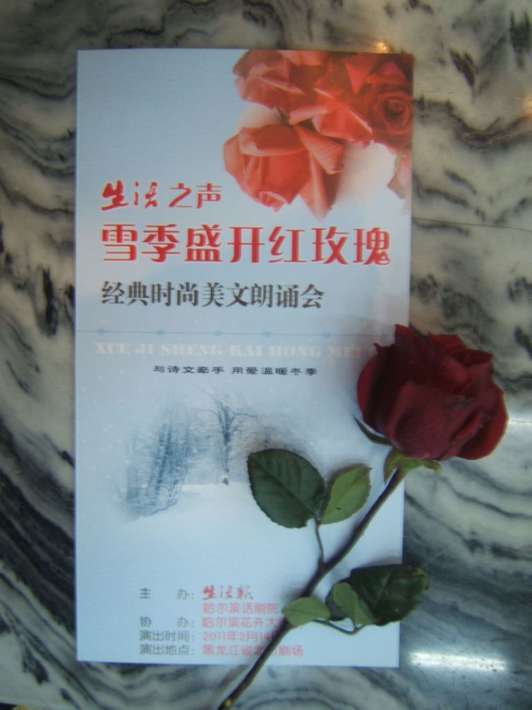 DSCF4759.jpg