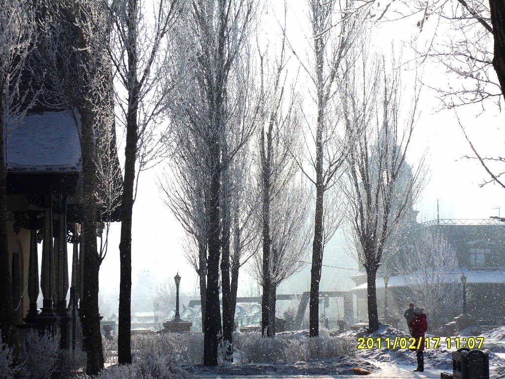 SDC16374.jpg
