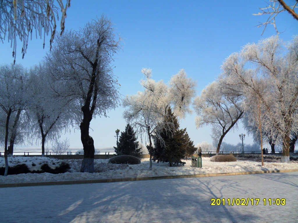 SDC16367.jpg