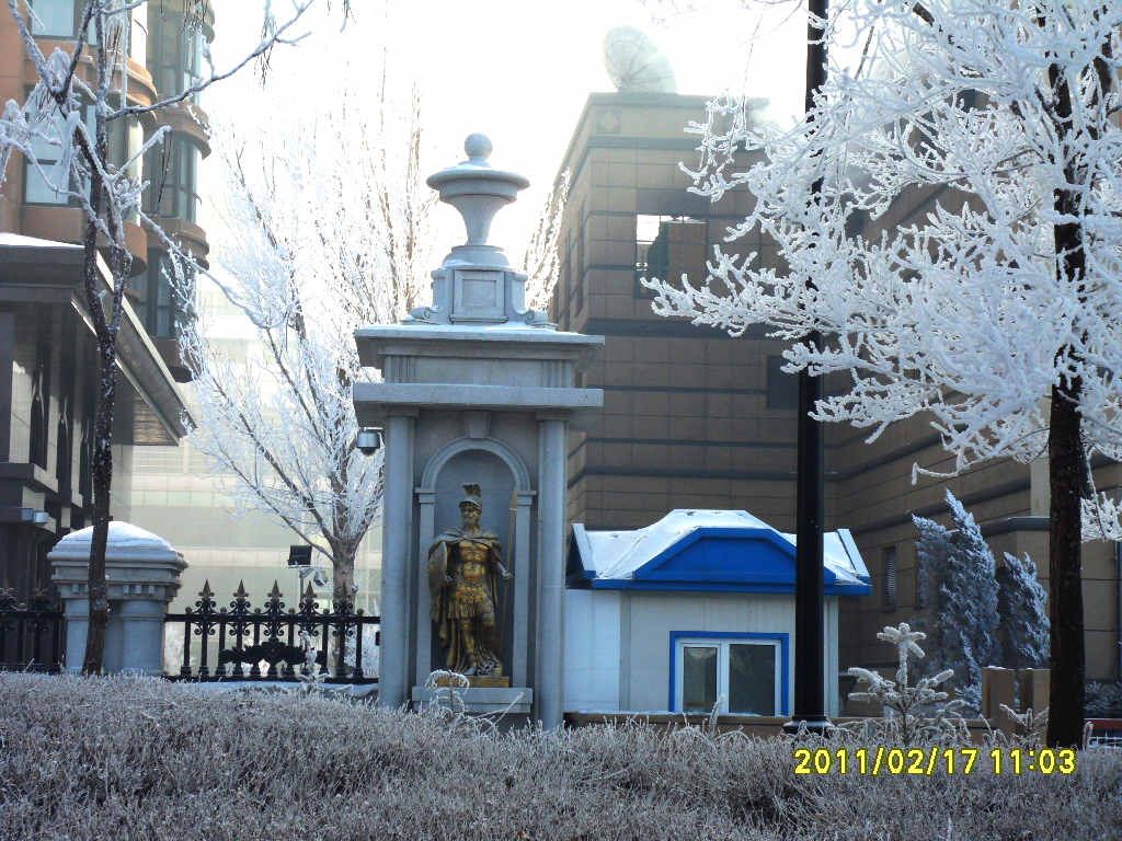 SDC16369.jpg
