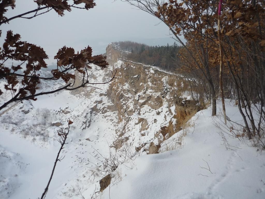 P1010105 g.jpg