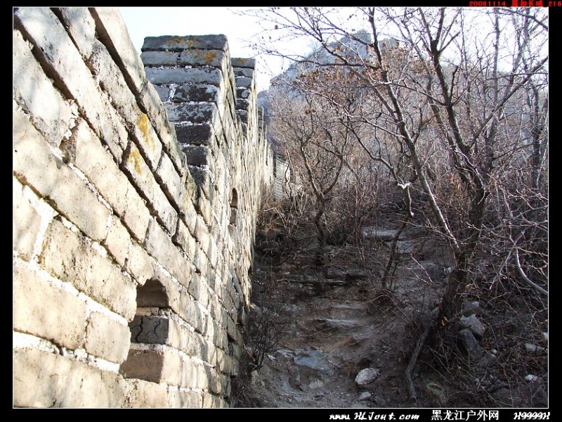 20081114_���۳���_216.jpg