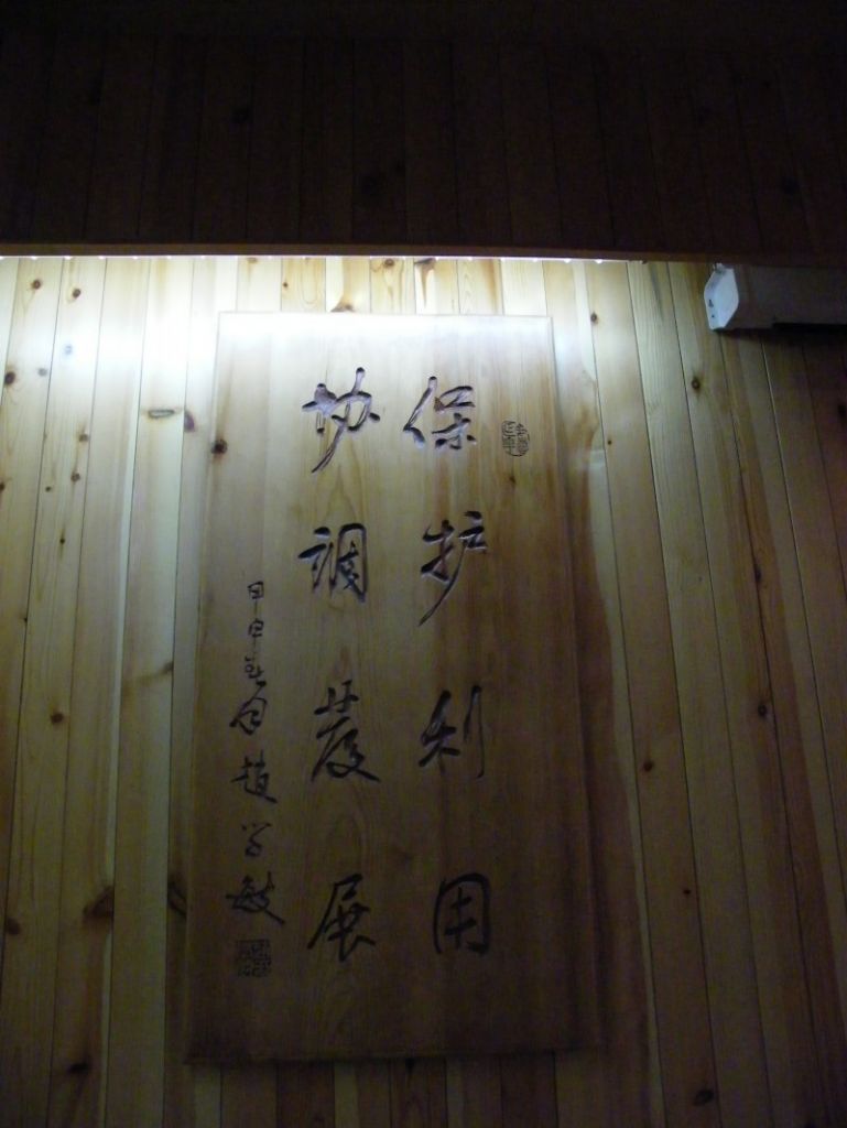 conew_dscf3022.jpg
