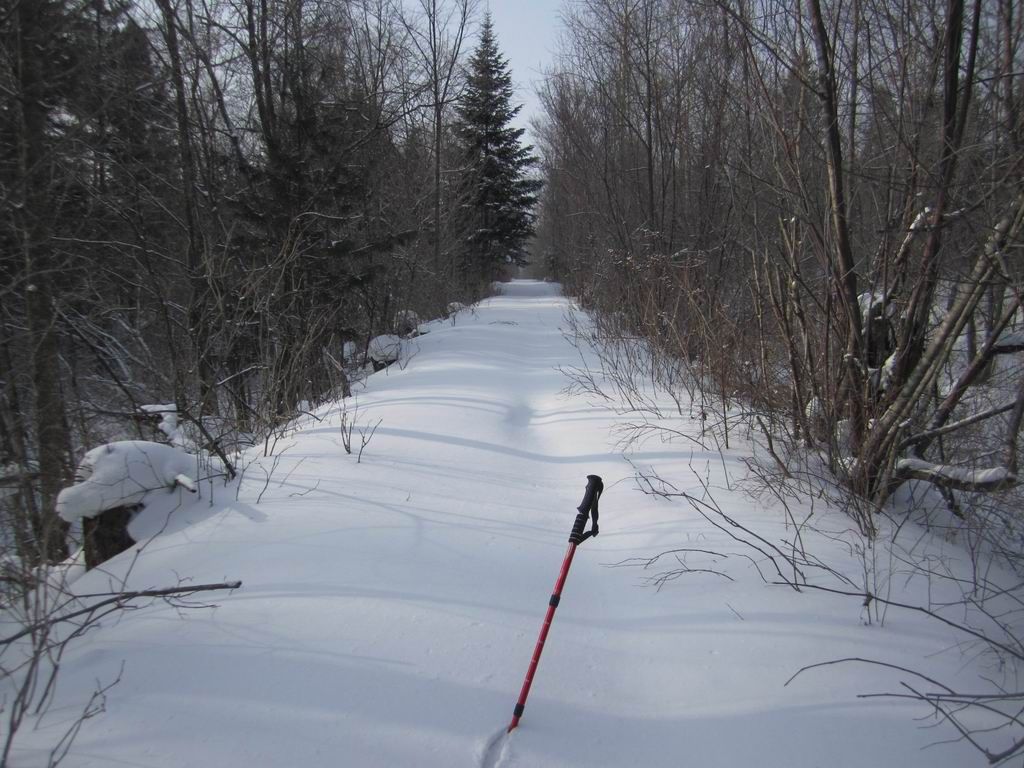 ������С IMG_2866.jpg