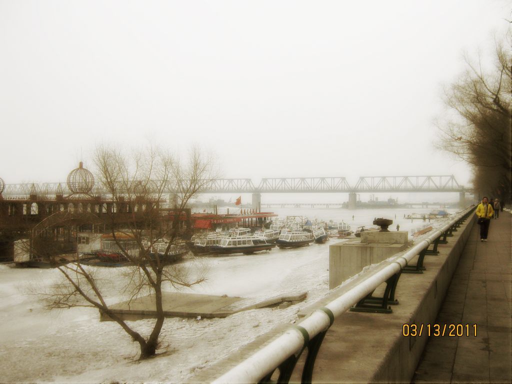 IMG_0156.jpg