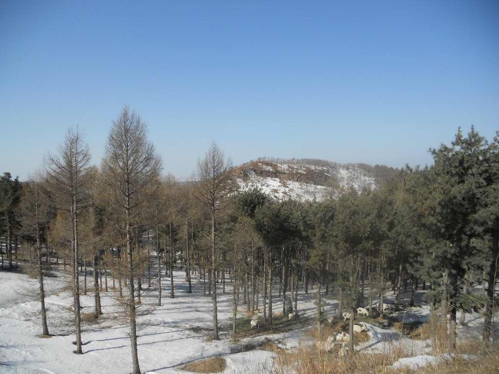 ��Ȫ 049.jpg