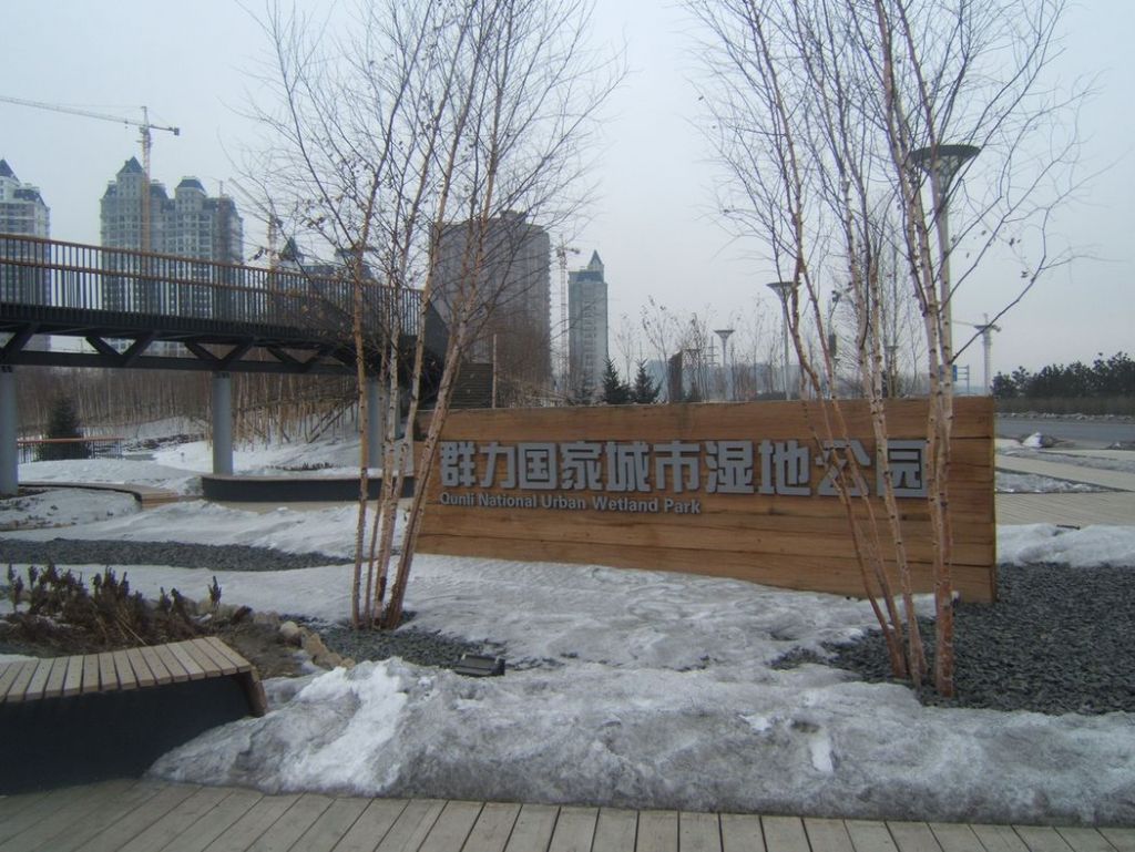 DSCF4881.jpg