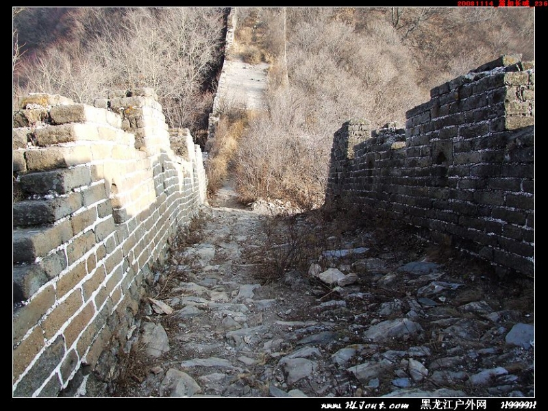 20081114_���۳���_236.jpg