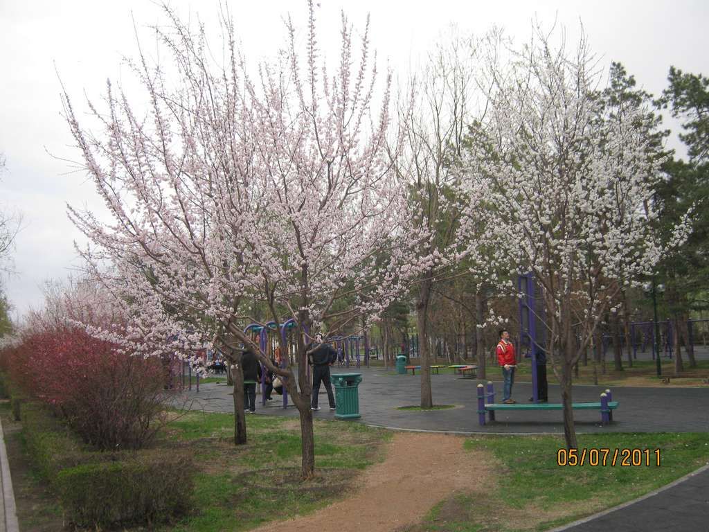 IMG_3572.jpg