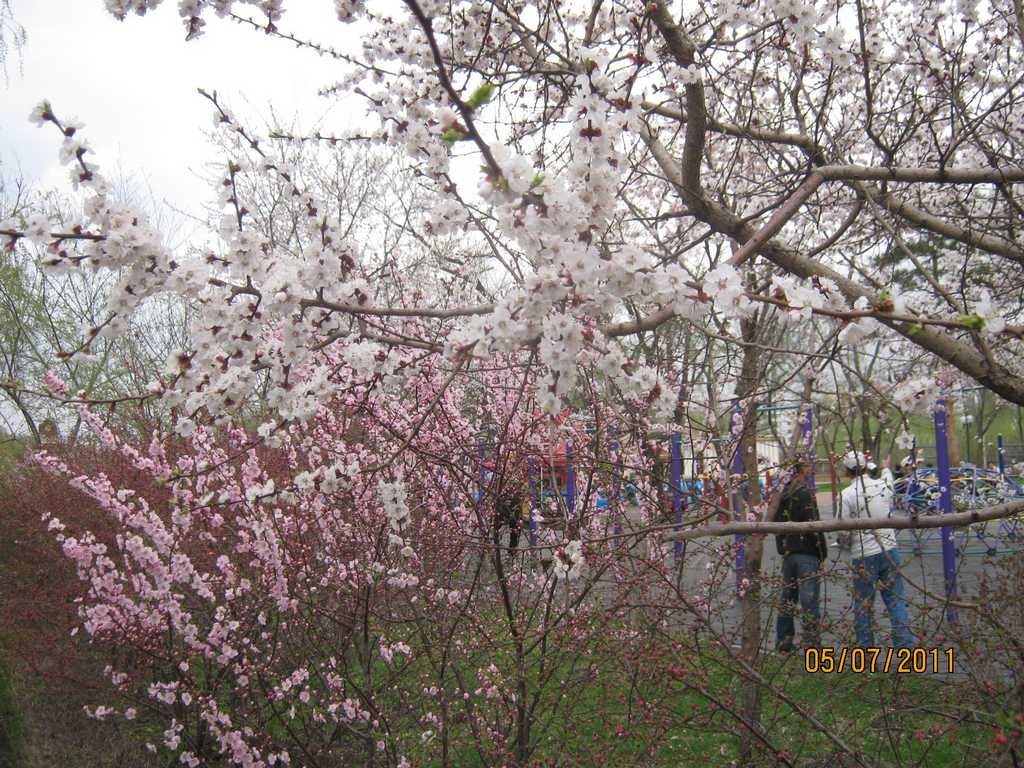 IMG_3583.jpg