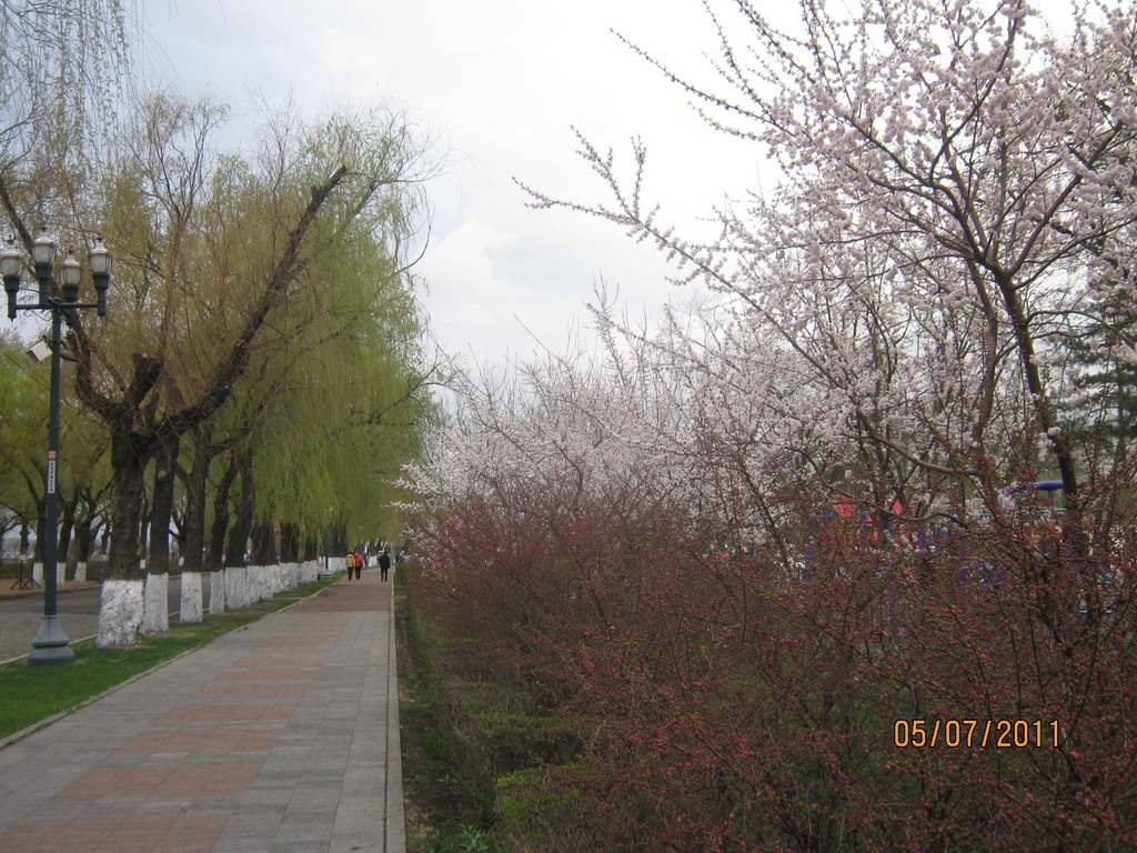 IMG_3580.jpg